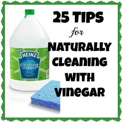 25 Tips For Cleaning Naturally With VinegarYou May Also Like:
25 Ways To Clean Naturally With Salt
26 Plants That Repel Mosquitos