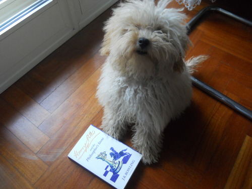 jily-percabeth-peeniss: My Lily was enjoying some very good reads this afternoon …
