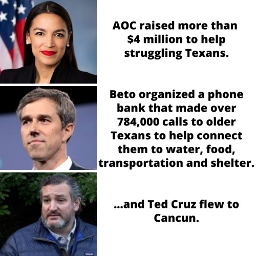 ted cruz