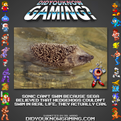 didyouknowgaming:  Sonic The Hedgehog. http://www.videogamer.com/xbox360/sonic_the_hedgehog/news/revealed_why_sonic_cant_swim.html 