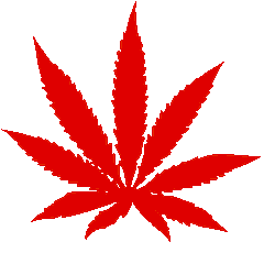 totallytransparent:  Transparent Weed Leaf