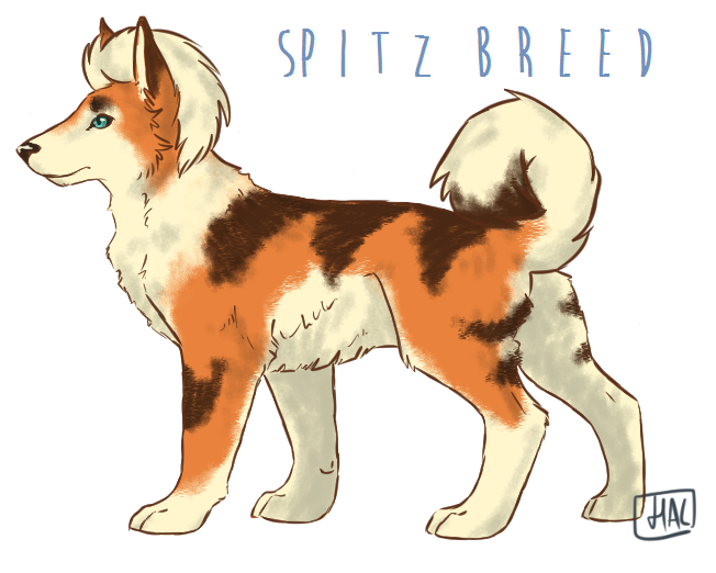 pandroids:  Growlithe VariationsDomestic: The ‘standardised’ breed, a foot tall