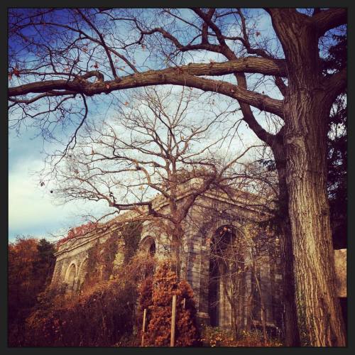 The Ledge #autumn #fttryon #washingtonheights #inwood #instagood #instamood #instadaily #instatravel