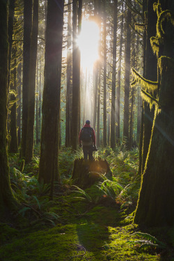 Among Giants | Photographer © | AOI