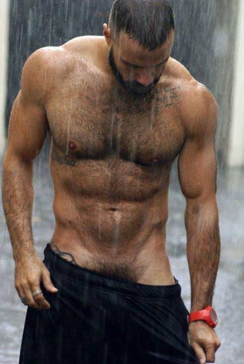 harrybacks:  Pubic Hair Tease 85