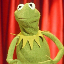 not-quitenormal:mariaalenkoshepard:stonewoodsifa:themuppetmasterencyclopedia:I don’t know what mood this is but mood  Best possible addition.