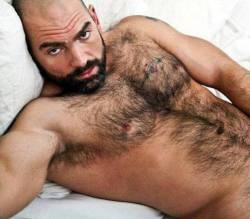 hairyturkishgaymachos:  Macho  big bear getting ready to sleep  Certainly interested in cuddling up to sleep with him anytime.