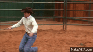 themotherfuckingclickerkid: So here’s Clint’s first response to this horse’s problem (she does not understand lunging cues and becomes aggressive when she is punished for not lunging properly). He gets in the round pen. She starts coming up to him