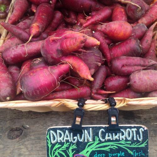 Not all carrots are created equal. @tamarackhollowfarm has tested many varieties over the years and 