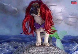 mashable:  You know what will make your favorite disney movies better? Puppies. [via]