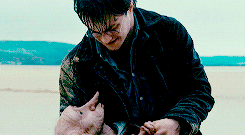 halphalp:  gifharrypotter: Harry Potter and the Deathly Hallows - parallels   Oh