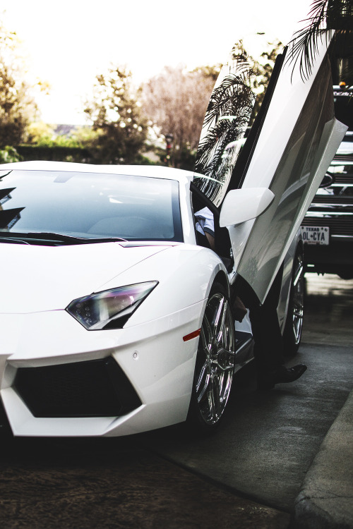 envyavenue:  Quite the Arrival | Photographer