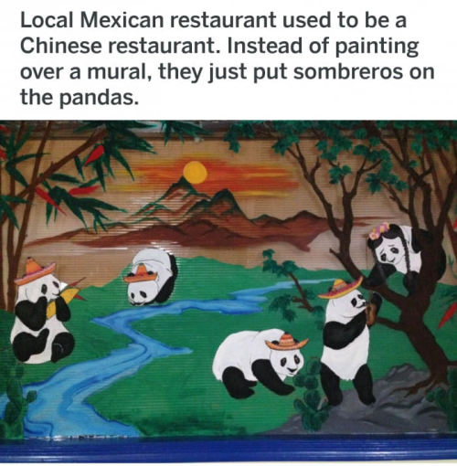 fan-mari: rowantheexplorer: were-kaiju: memehumor: Mexican Pandas THEY TURNED THE BAMBOO INTO A TACO