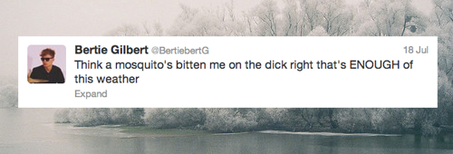 itsbertie - Bertie’s most inspirational tweets