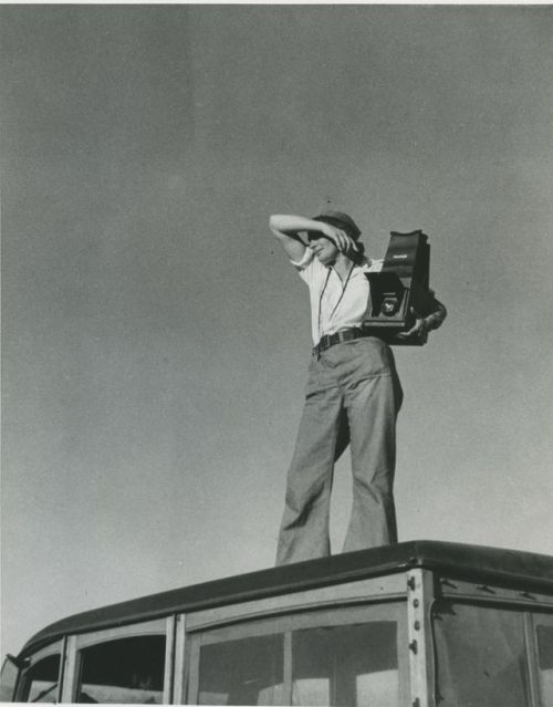 Dorothea Lange, long-standing idol 
