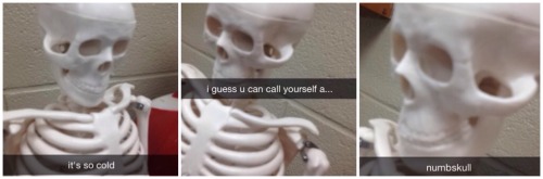 asapscience:  fanmanning:  I love my humerus humor.  A++++