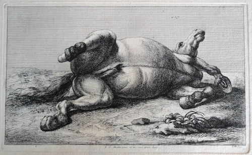 Engraved after Charles Le Brun’s Etudes de chevaux de bataille blesses (Studies for Wounded Warhorse