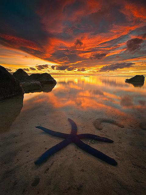 Etu Moana by Michael Anderson by AndersonImages on Flickr.