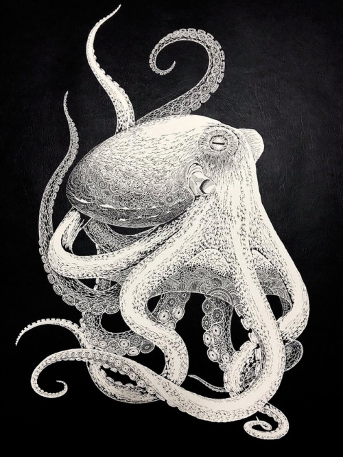 Masayo Fukuda, ‘Octopus’”Paper cutting art requires tremendous patience and a steady hand, and Japan