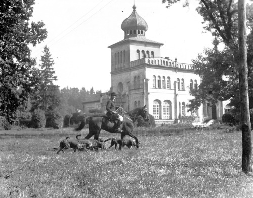  Myśliwy z psami przed pałacem w Osieku (1937).