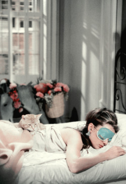 vintagegal:  Audrey Hepburn in Breakfast