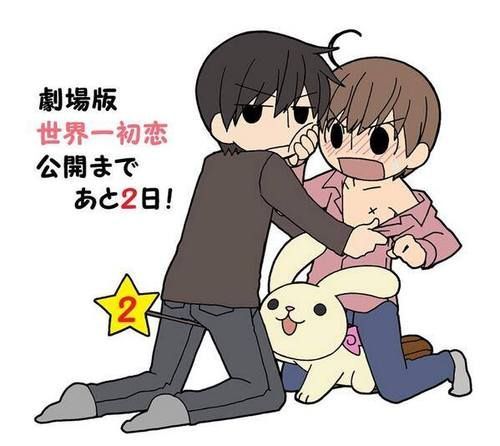 megane-fudanshi:Junjou Romantica and Sekaiichi Hatsukoi Chibis