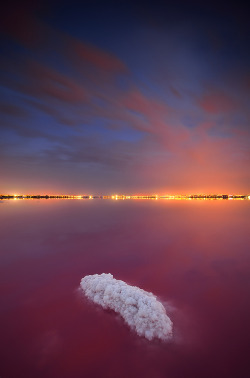 jamas-rendirse:  Silent salt night por Javier_López.