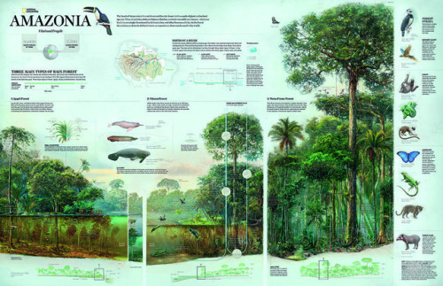 nevver:National Geographic Infographics, Taschen