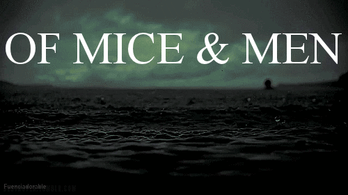 music-is-our-salvation:  † band blog † 