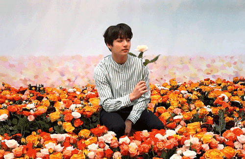 FLOWER BOYS