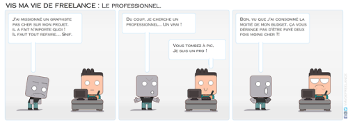 professionnel