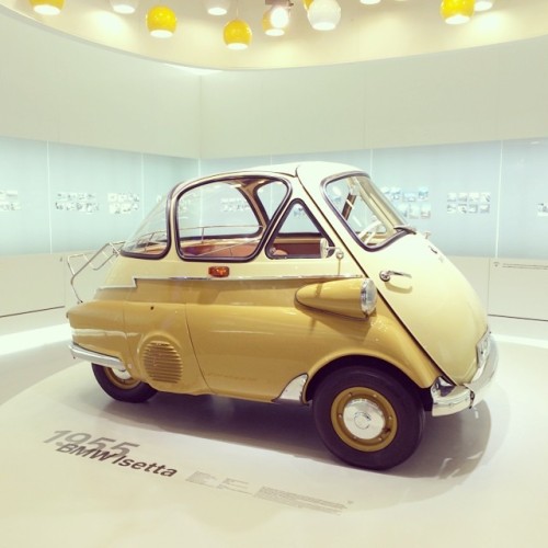 mcconnico:  It thinks it’s a car! | Found by John Beck McConnico (via @san_toki) 