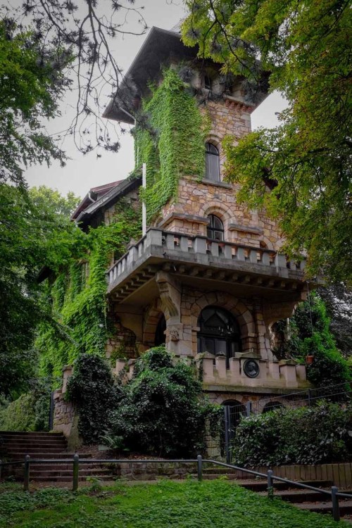 legendary-scholar:  Thorngrove Manor, Adelaide Australia.