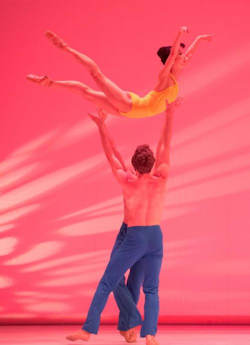 13allerina:  Xuan Cheng, Brian Simcoe, and Michael Linsmeier in PETAL