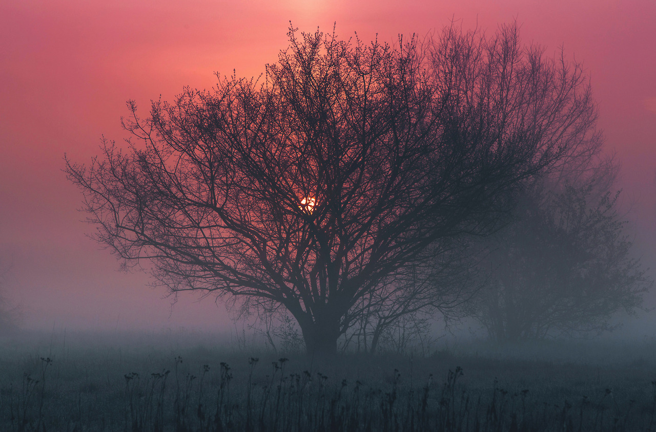 dennybitte:  I hope today is the beginning of another wonderful year for you, where