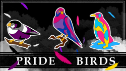 magicalshopping: ♡ Pride Birds Enamel