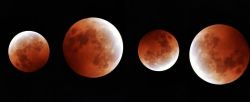 dark-of-night-47:  cherrybombkisses:    A rare astronomical phenomenon Sunday night will produce a moon that will appear slightly bigger than usual and have a reddish hue, an event known as a super blood moon.    Because you missed it, submissive030409.