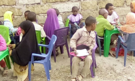 Govt Faulted For Neglecting ECDE In Marginalised Areas