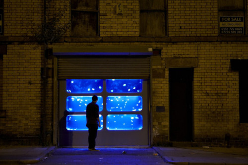 laughingsquid:
“ A Surreal Art Installation Featuring Jellyfish Tanks Installed in the Facade of an Abandoned Building
”