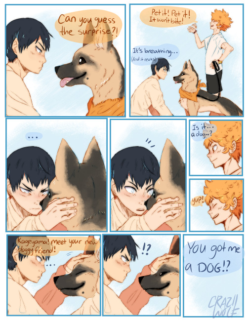 craziiwolf:Blind Kageyama au! (uvu)More art from my au: 1 2 3 4 5 6 7 8Fanfic on wattpad ; Hope Wi