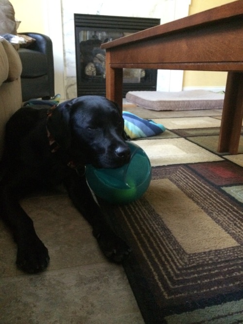 Ball in a ball makes a great pillow