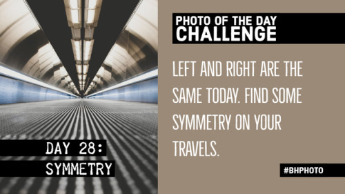 31 Day Photo Challenge, Week 4