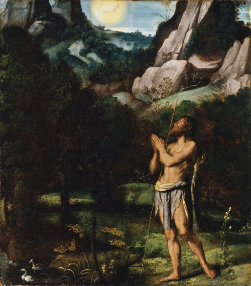 canforasoap:Moretto da Brescia (Allessandro Bonvicino, Italy, Brescia, 1498-1554), St. John the Baptist in the Wilderness, circa 1535Oil on panel, 57.1 × 49.5 cm; Lacma Collection