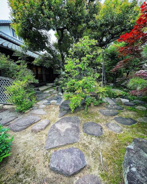 桜の庄兵衛（奥野家住宅）庭園 / Sakura-no-shobee (Okuno Resicende) Garden, Toyonaka, Osaka ② 大阪府豊中市の国登録有形文化財『桜の庄兵衛（