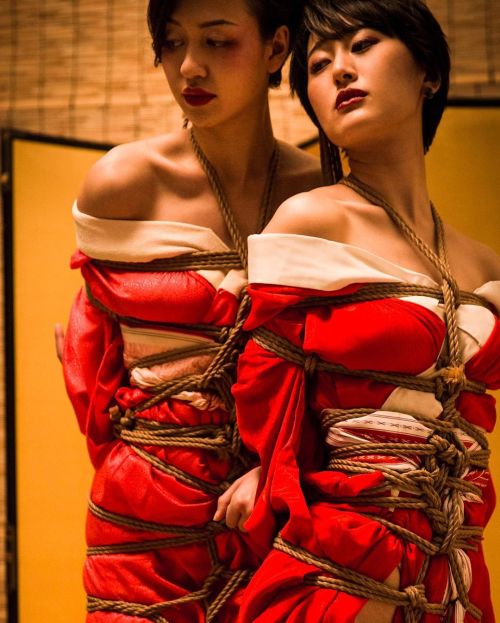 mai8chan:  Shibari&amp;Photo Hajime KinokoModel Midori &amp; Lily