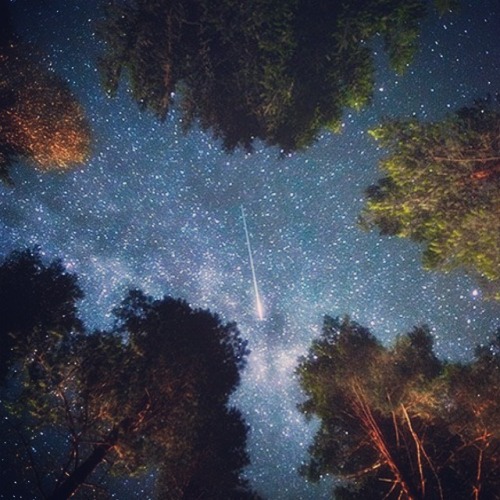 thelittlestpurplecat:Nothing’s scarier than being seventeen, and being in love with your best friend