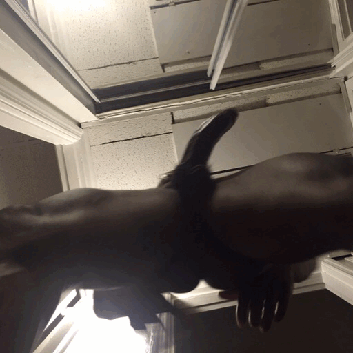 jackitreloaded:  Swinging Friday’s in full effect !