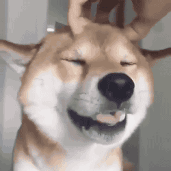 gifsboom:  Good smile. [video] 
