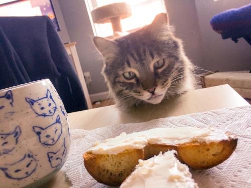 Hmmmmm cream cheese