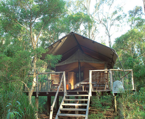 thebasic: Paperback Camp, Australia